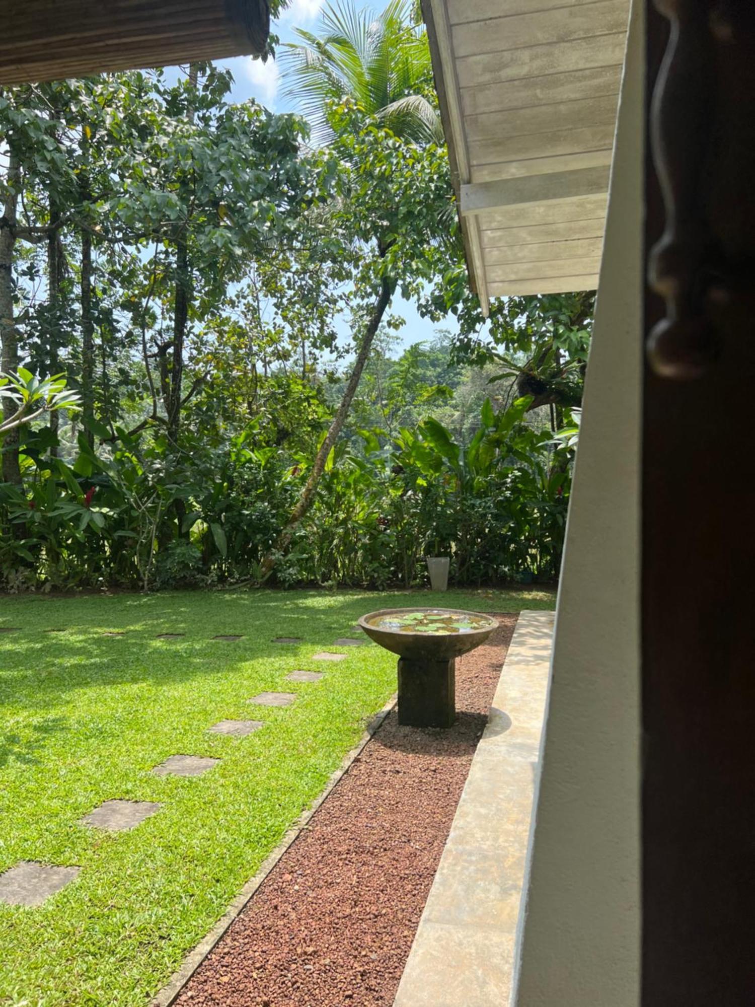Medusa Bungalow - Galle Zewnętrze zdjęcie