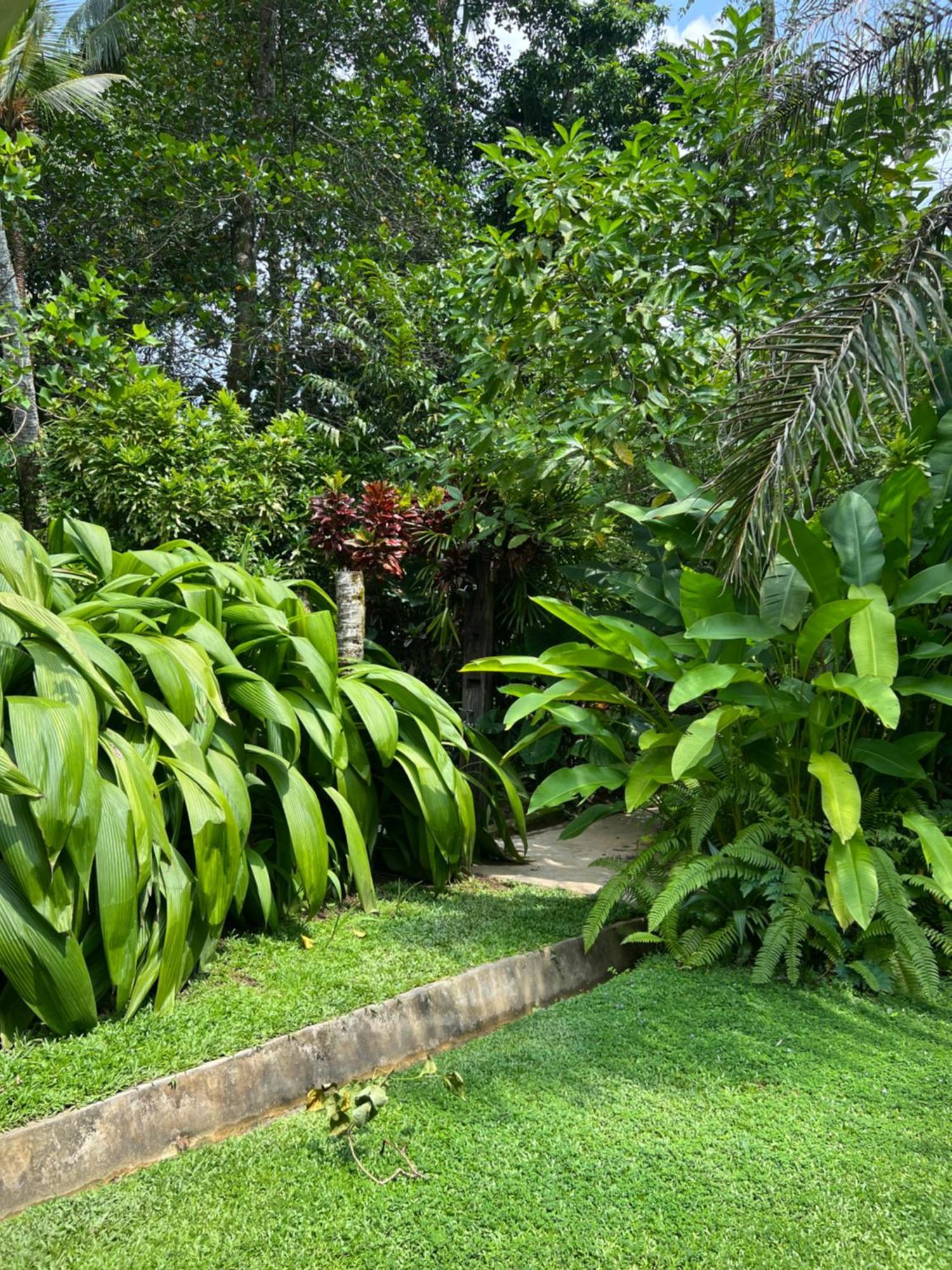 Medusa Bungalow - Galle Zewnętrze zdjęcie