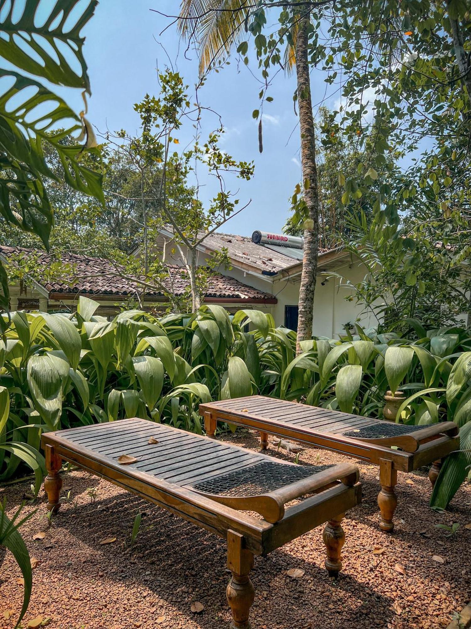 Medusa Bungalow - Galle Zewnętrze zdjęcie