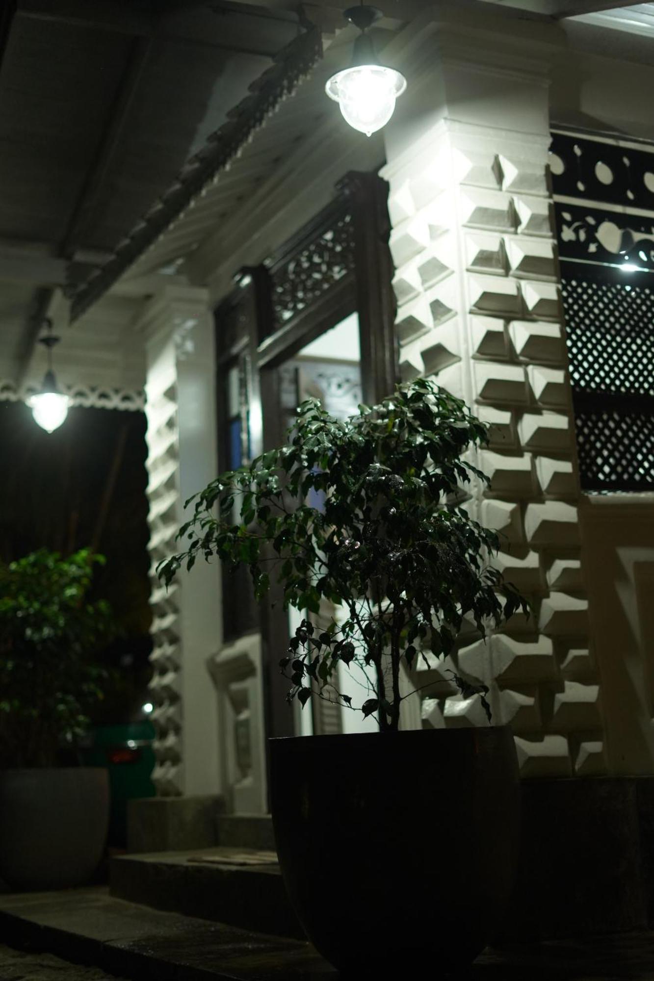 Medusa Bungalow - Galle Zewnętrze zdjęcie